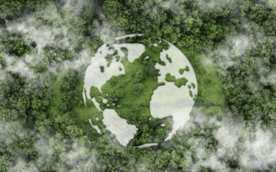 Top view green forest with globe earth. Sustainable Environment concept. Carbon reduction emissions target. Green energy is eco-friendly. Save Earth or World Earth Day Concept. Environmental Care
